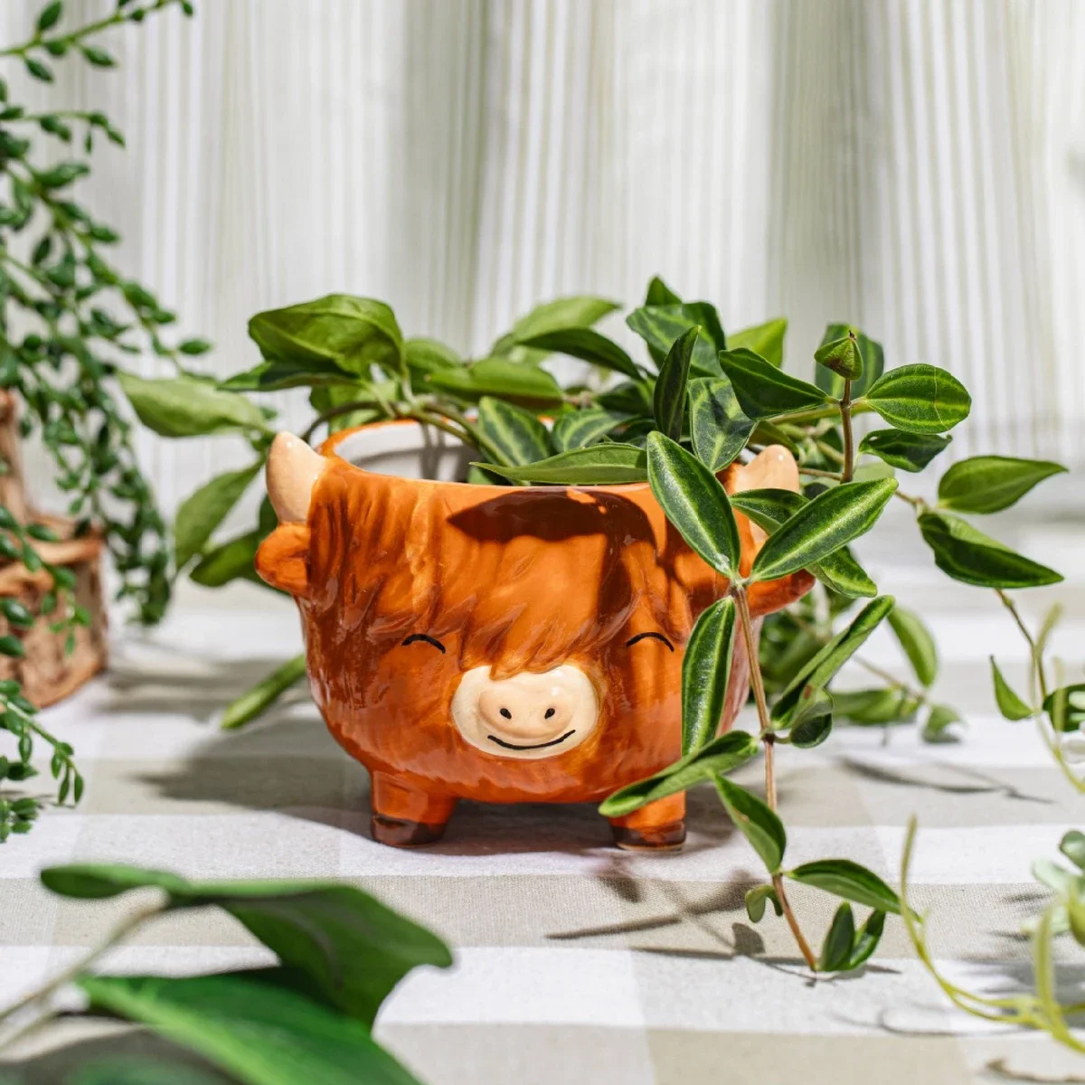 Highland Cow 2.webp