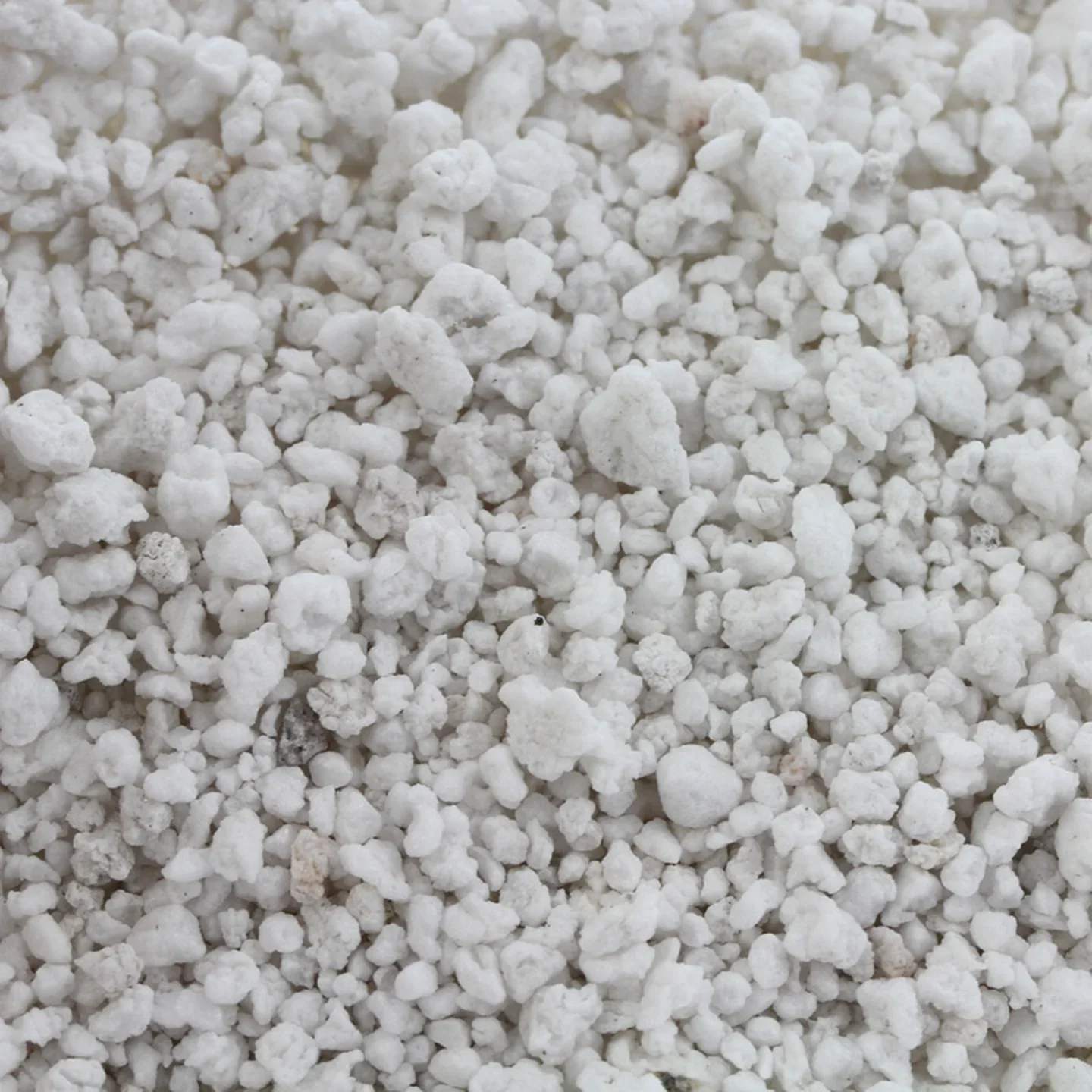 Perlite 2.webp