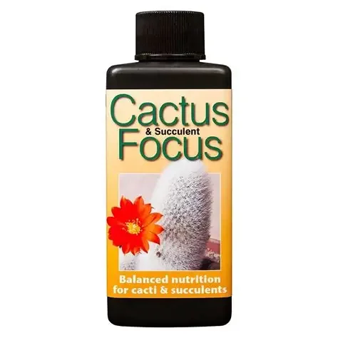 Cactus & Succulent Focus Plant Food