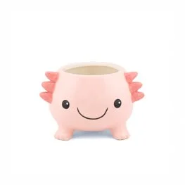Axolotl Planter