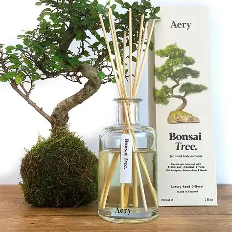 Aery Reed Diffuser Bonsai Tree.webp