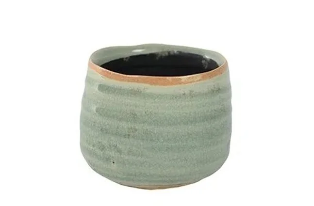 Pot Iris Mint W8cm.jpg
