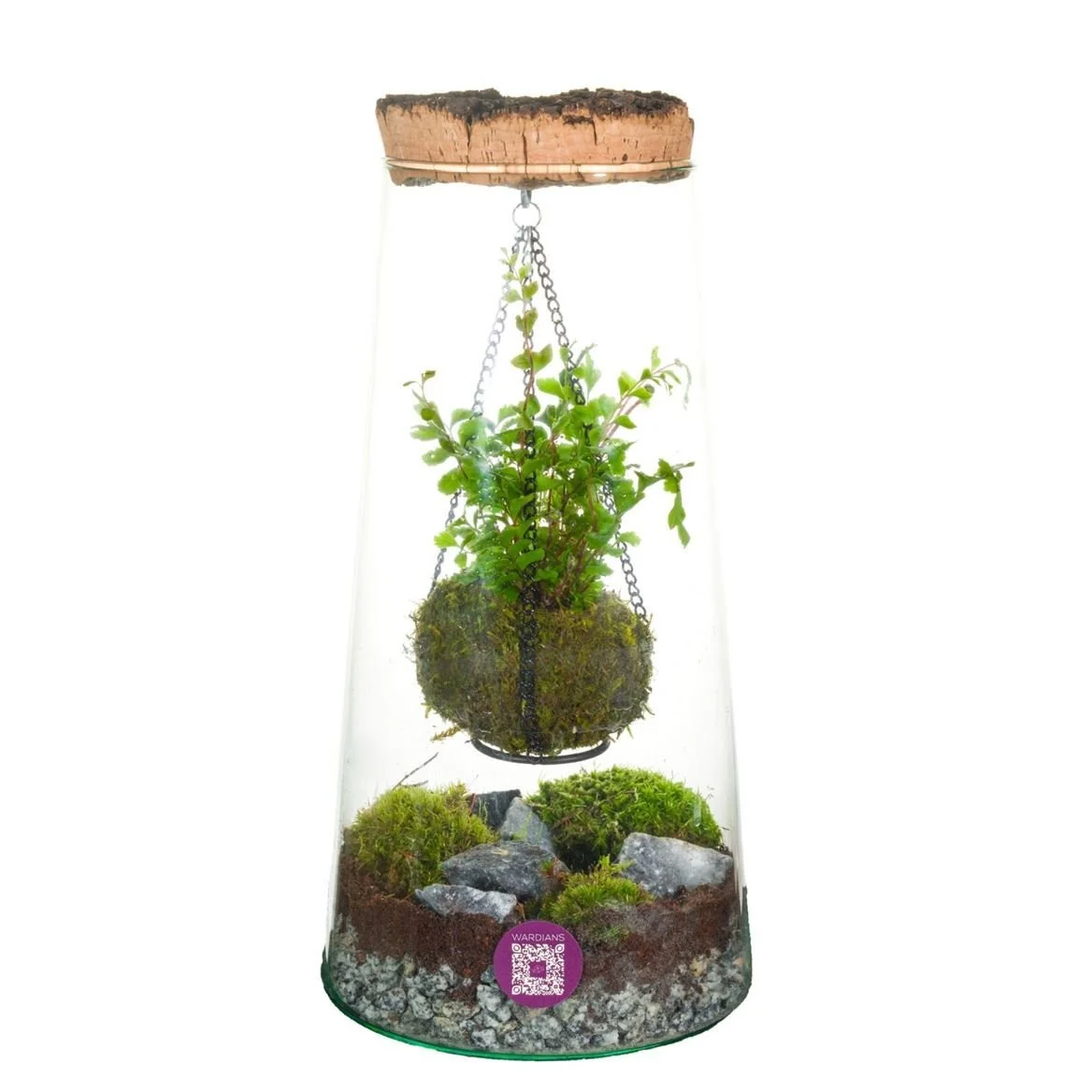 Hanging Glass Terrarium with Cork Lid
