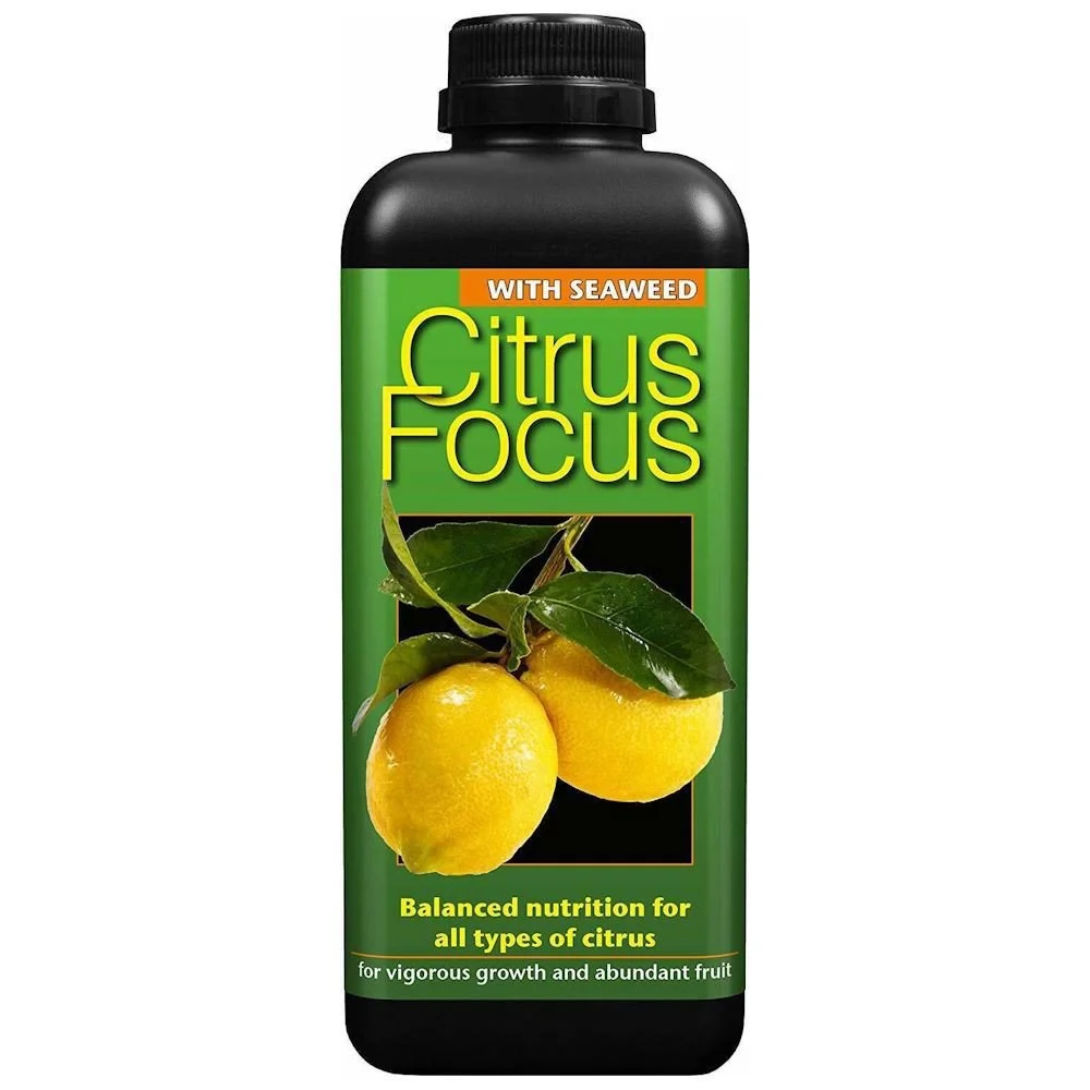 Citrus Focus Plant Food