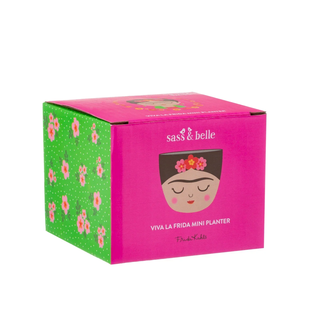 Frida 2.webp