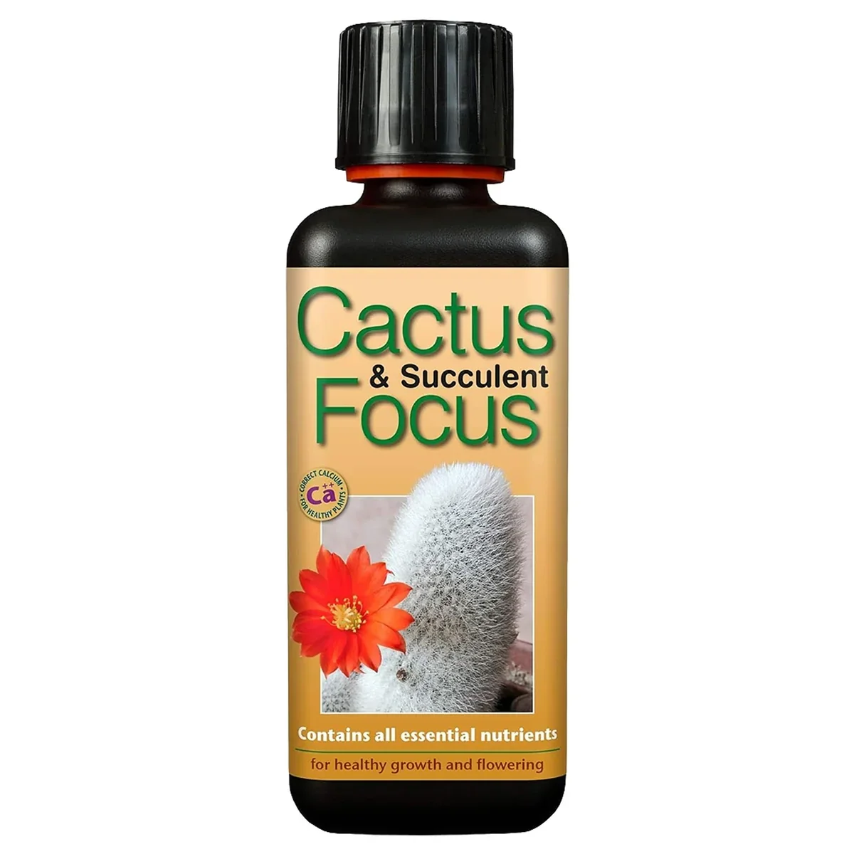 cactussucfocus_e01ab8e2-bbfd-4812-a892-ca8270925962.webp