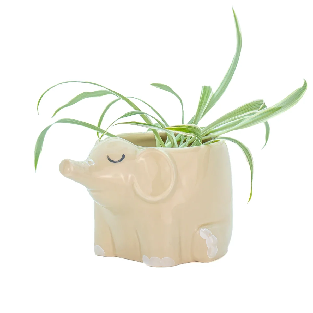Elephant 2.webp