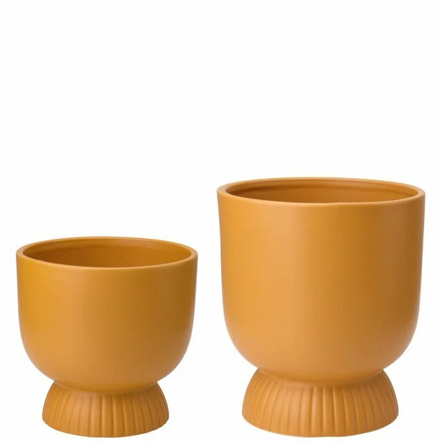 Stylish Matte Yellow Planter