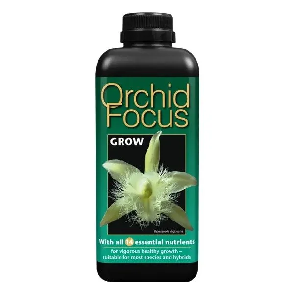 Orchid Focus Grow
