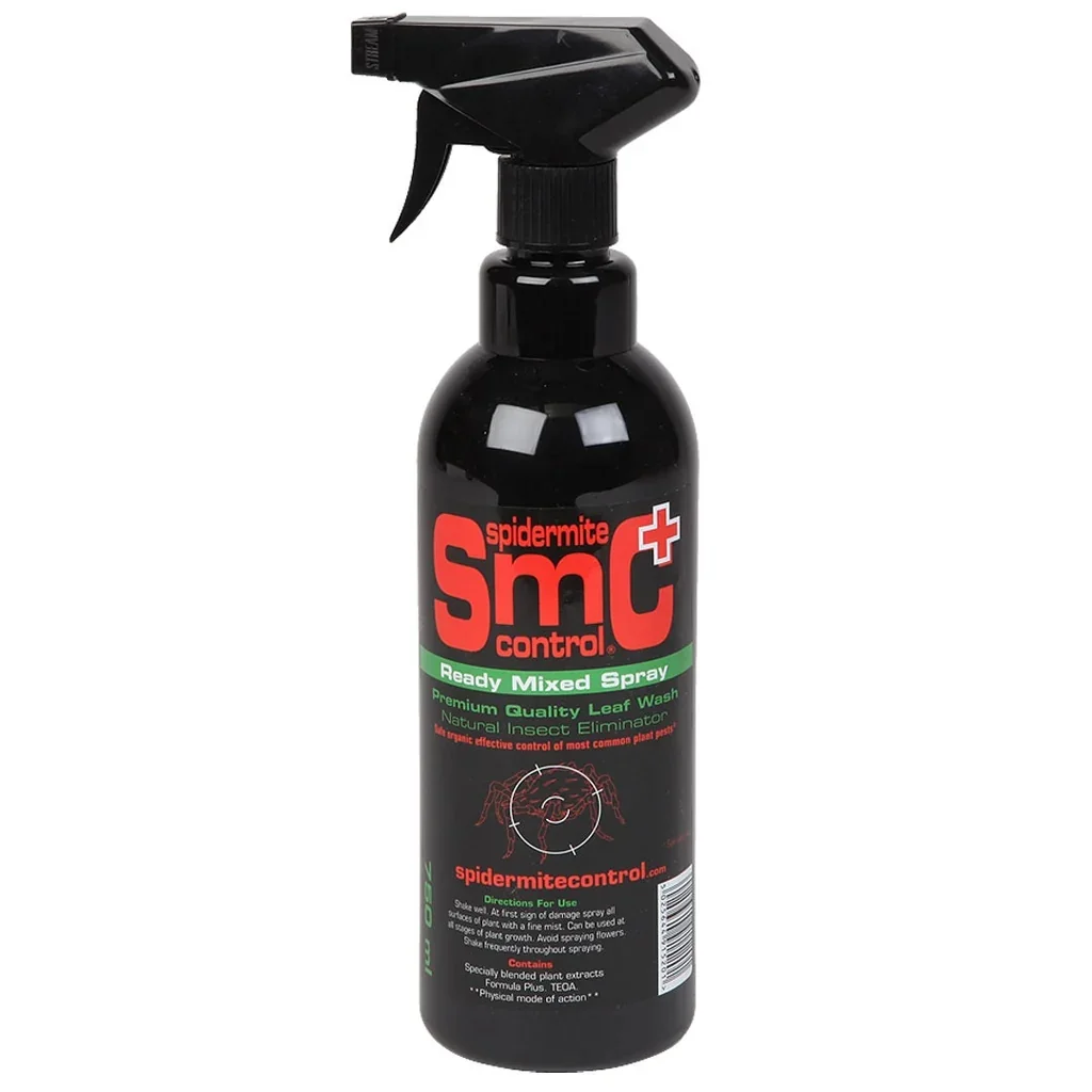 Spider Mite Control.webp