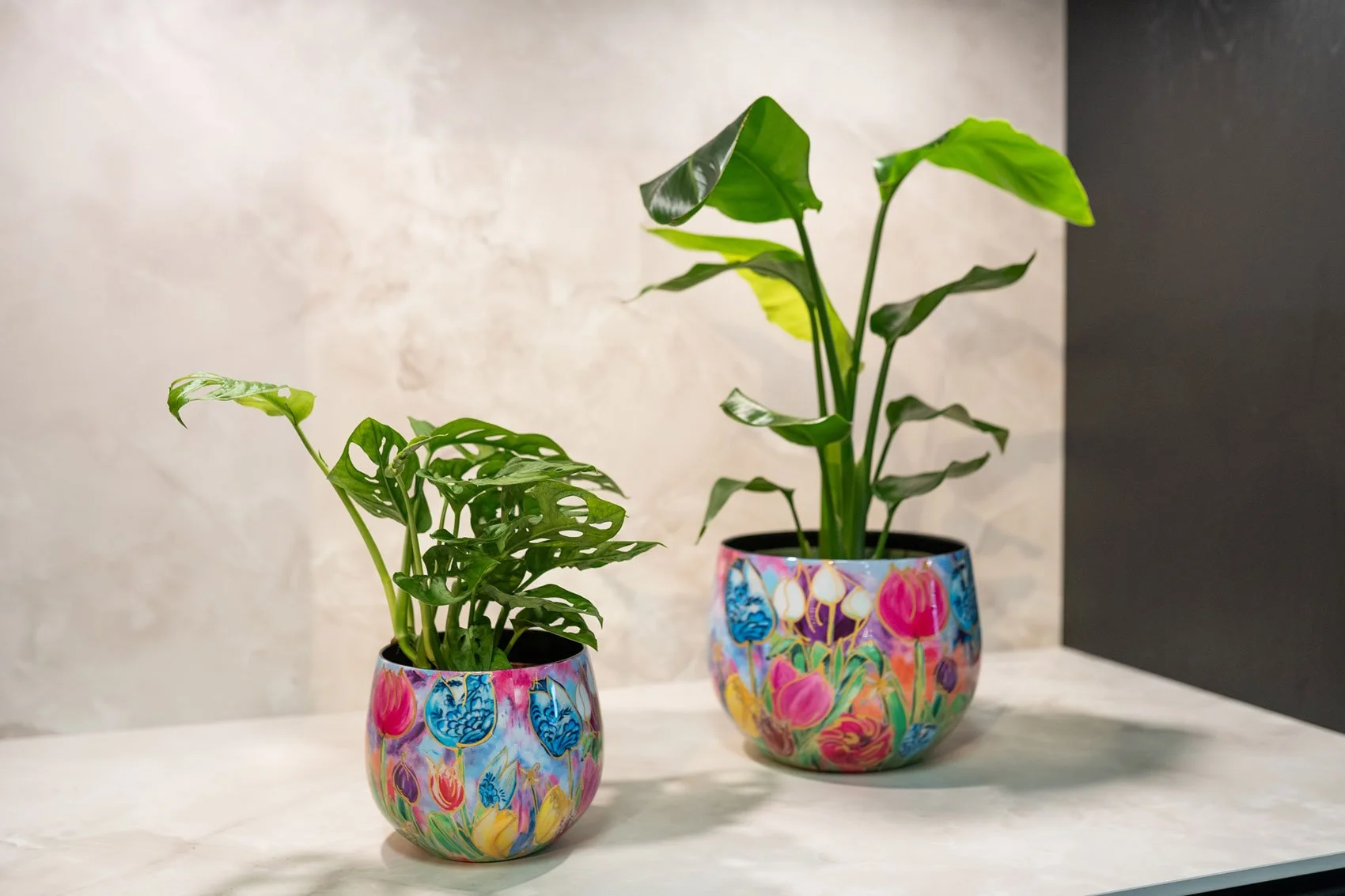2_Dutchbeauty_DesignedbyRickTriest_118_1.jpg