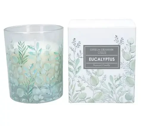 Gisela Graham Boxed Scented Candle eucalyptus.webp