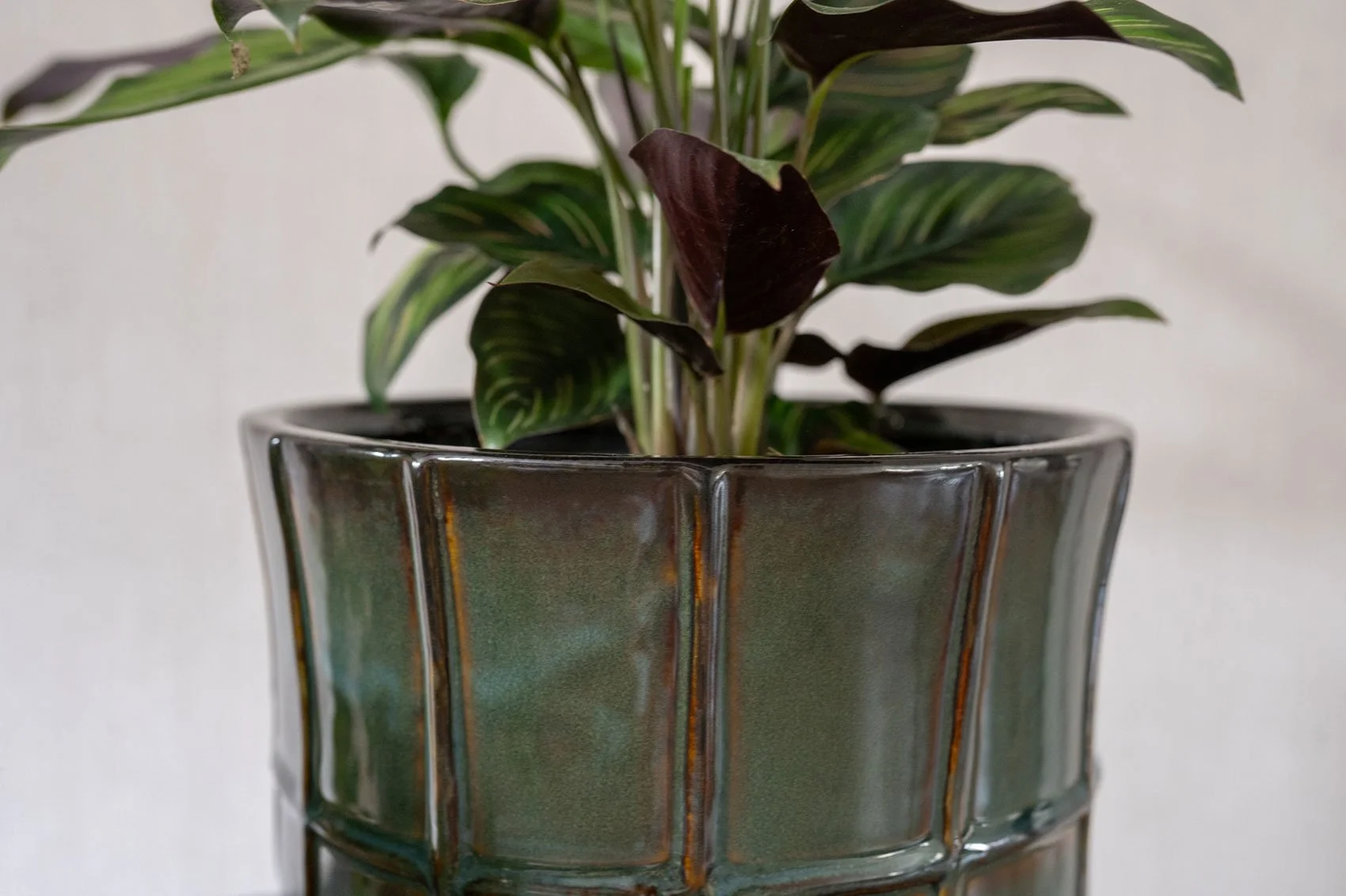 2_Noemi_seagreen_03.jpg