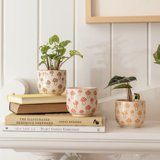 Mushroom Mini Planters 2.webp