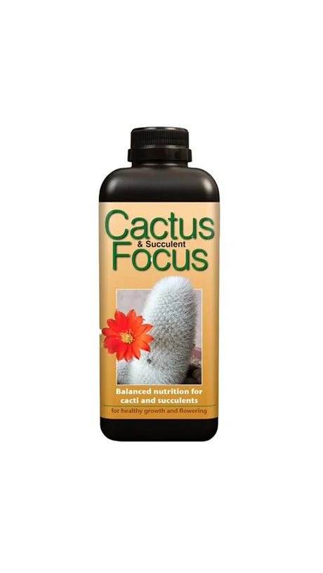 Cactus & Succulent Focus Plant Food