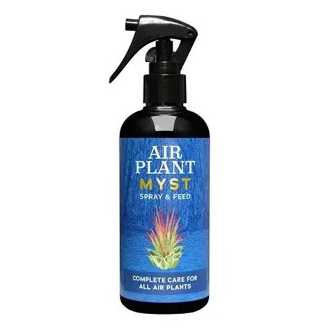 Air Plant Myst