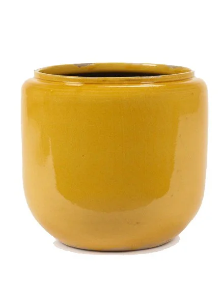 pot costa yellow.jpg