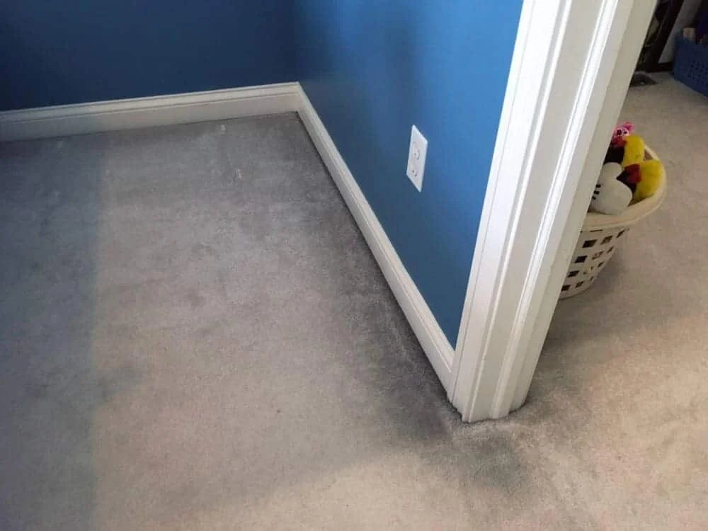 Carpet Filtration Line Mitigation — Apex Cleaning Services