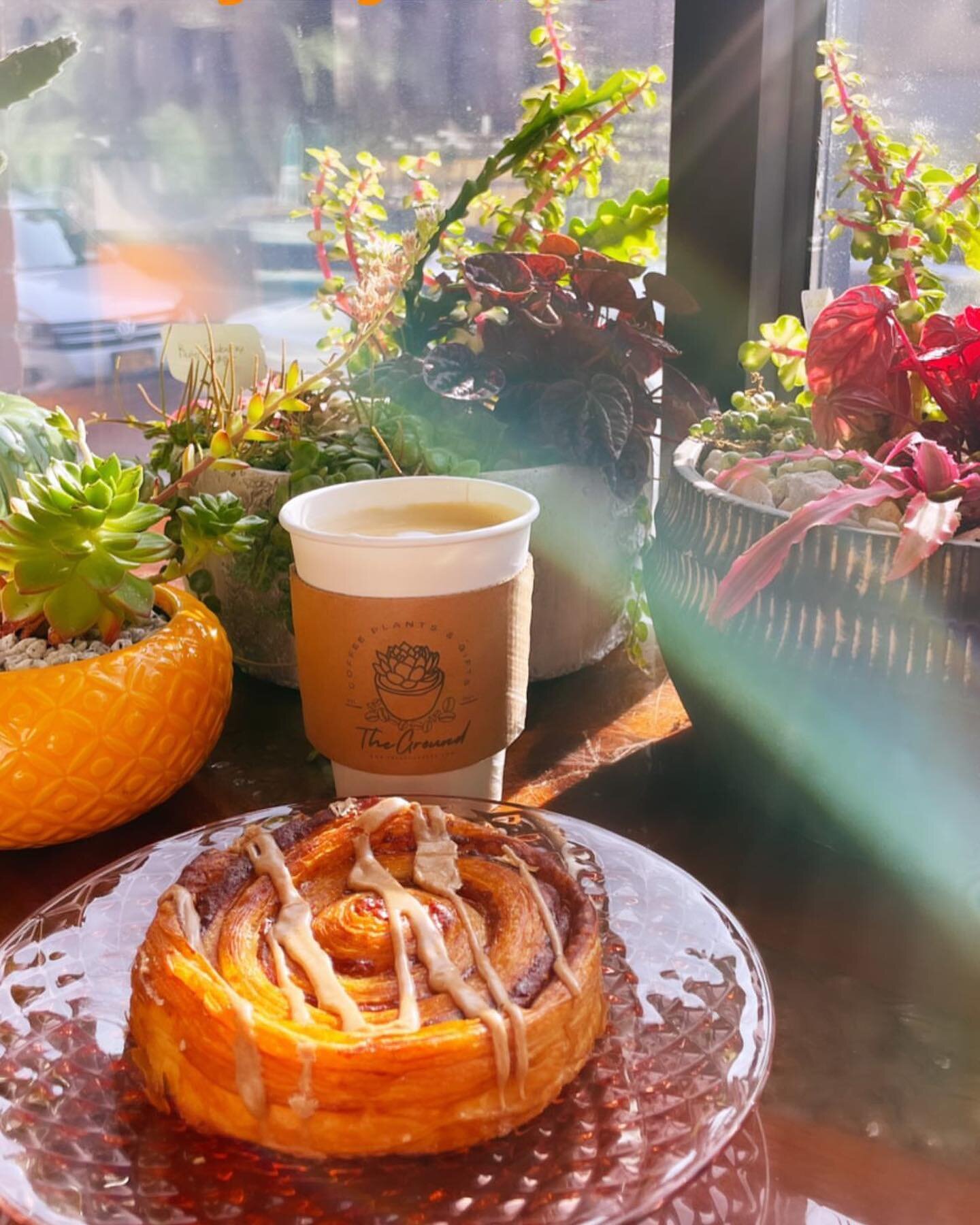 Dreamy mornings start from The Ground up. Surround yourself in our cozy little jungle. Our floor-to-ceiling windows envelop the space with glowing morning sun rays. The aroma of fresh coffee and pastries fill the air from the moment you step inside. 