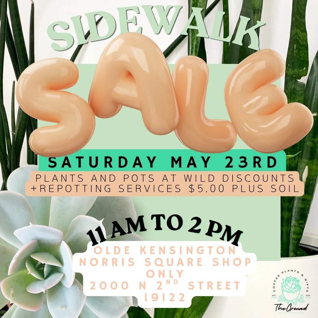 This Saturday at our Norris Square location, our in-house plant expert Sandy is joining us for a repotting day and sidewalk sale.

We&rsquo;ll have plants in need of a little extra love available at WILD prices, along with retail items and other trea