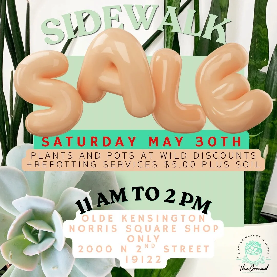 WE ARE PUSHING TO SATURDAY MAY 30th BECAUSE OF THE RAIN 😭😭😭

This Saturday at our Norris Square location, our in-house plant expert Sandy is joining us for a repotting day and sidewalk sale.

We&rsquo;ll have plants in need of a little extra love 