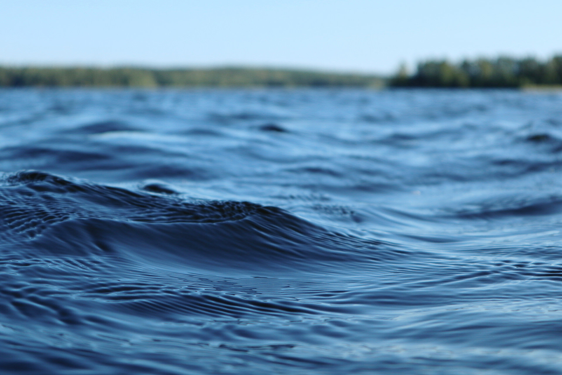 AdobeStock_306257060.jpeg