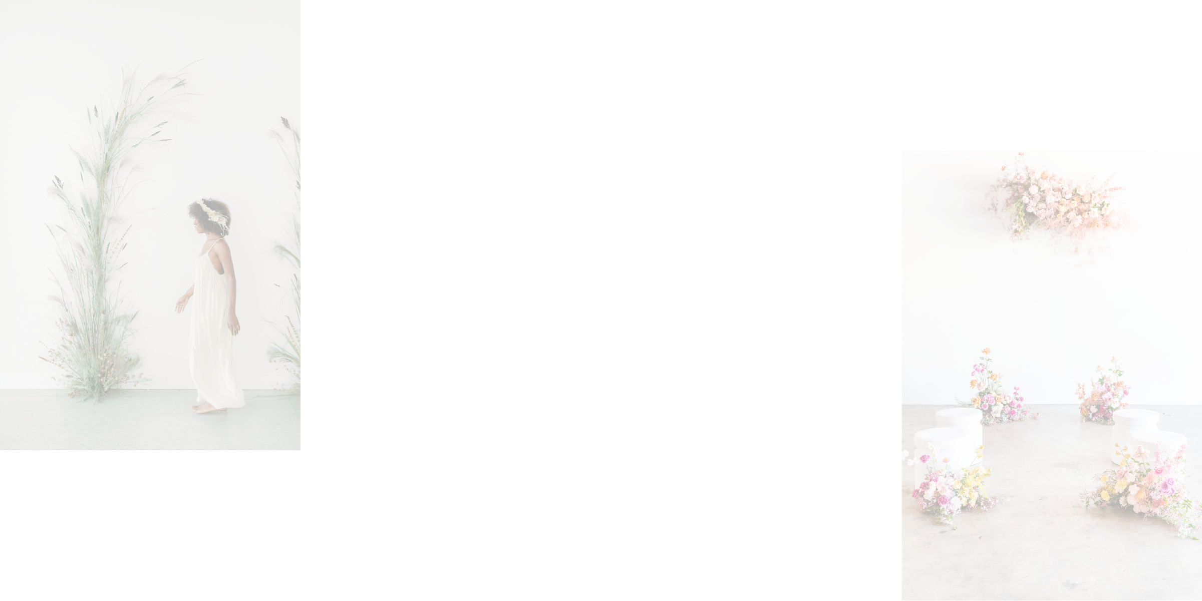 Copy of Copy of Testimonials Background (2).png