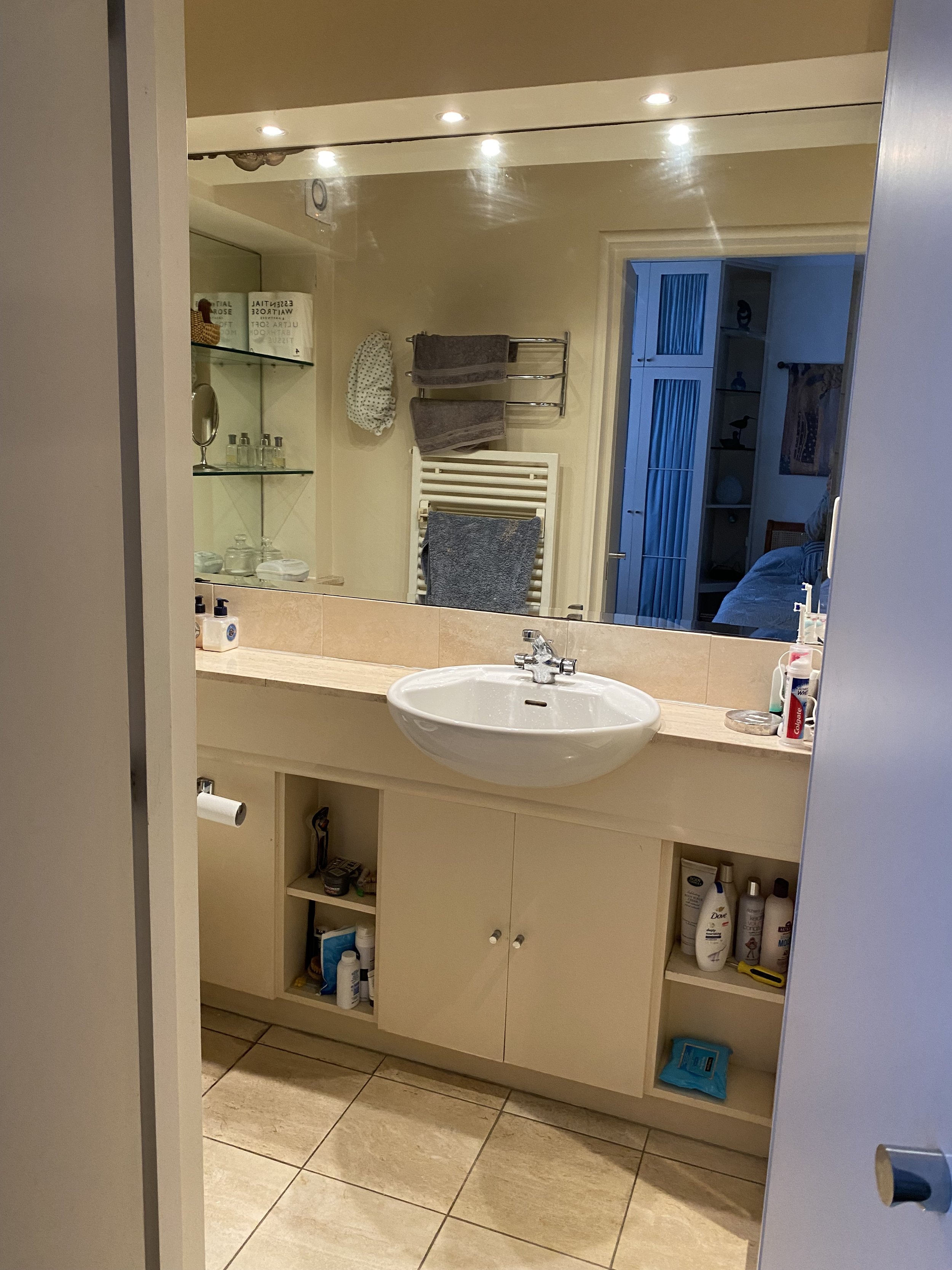 it had a a door with a basin opposite, a loo on the left and a little shower on the right that you had to step up and into (while navigating a folding door)
