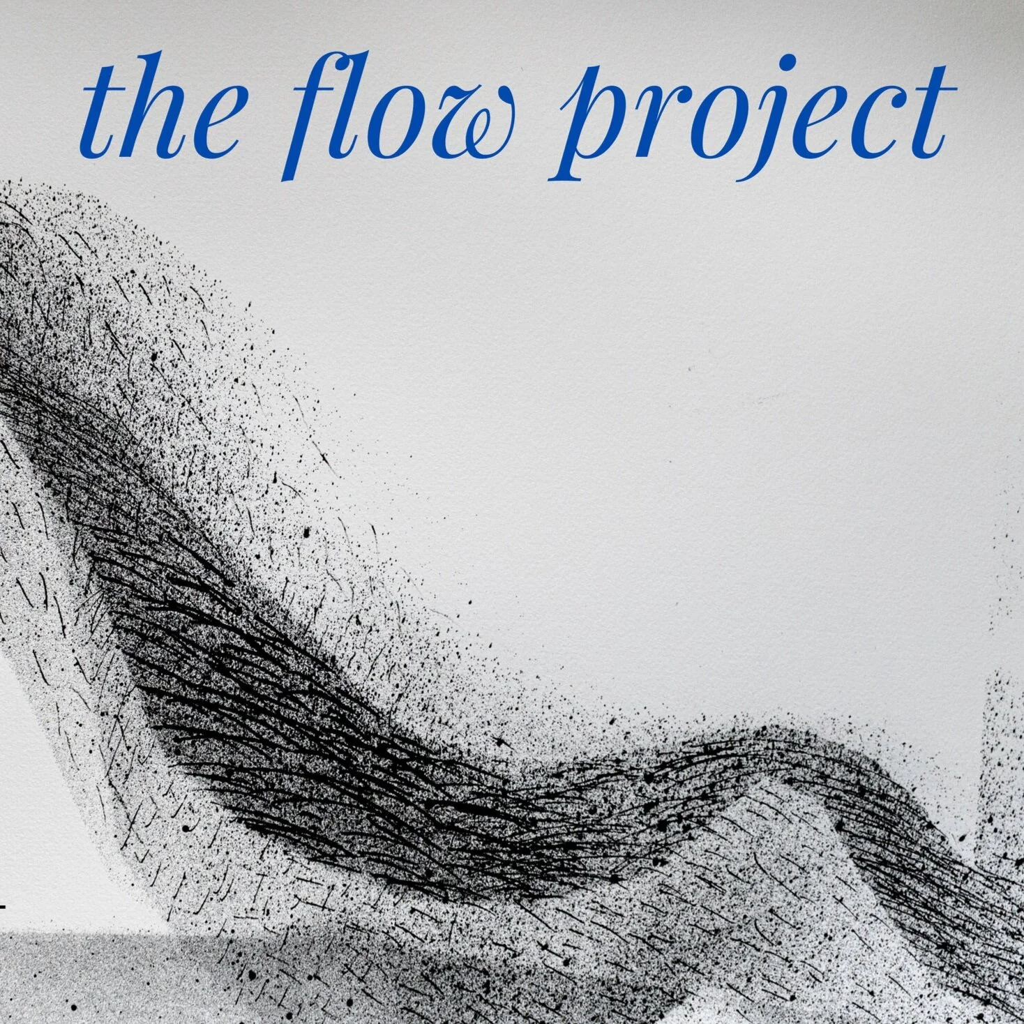 July/August Exhibition - Anne Fox and Slow the Flow: The Flow Project