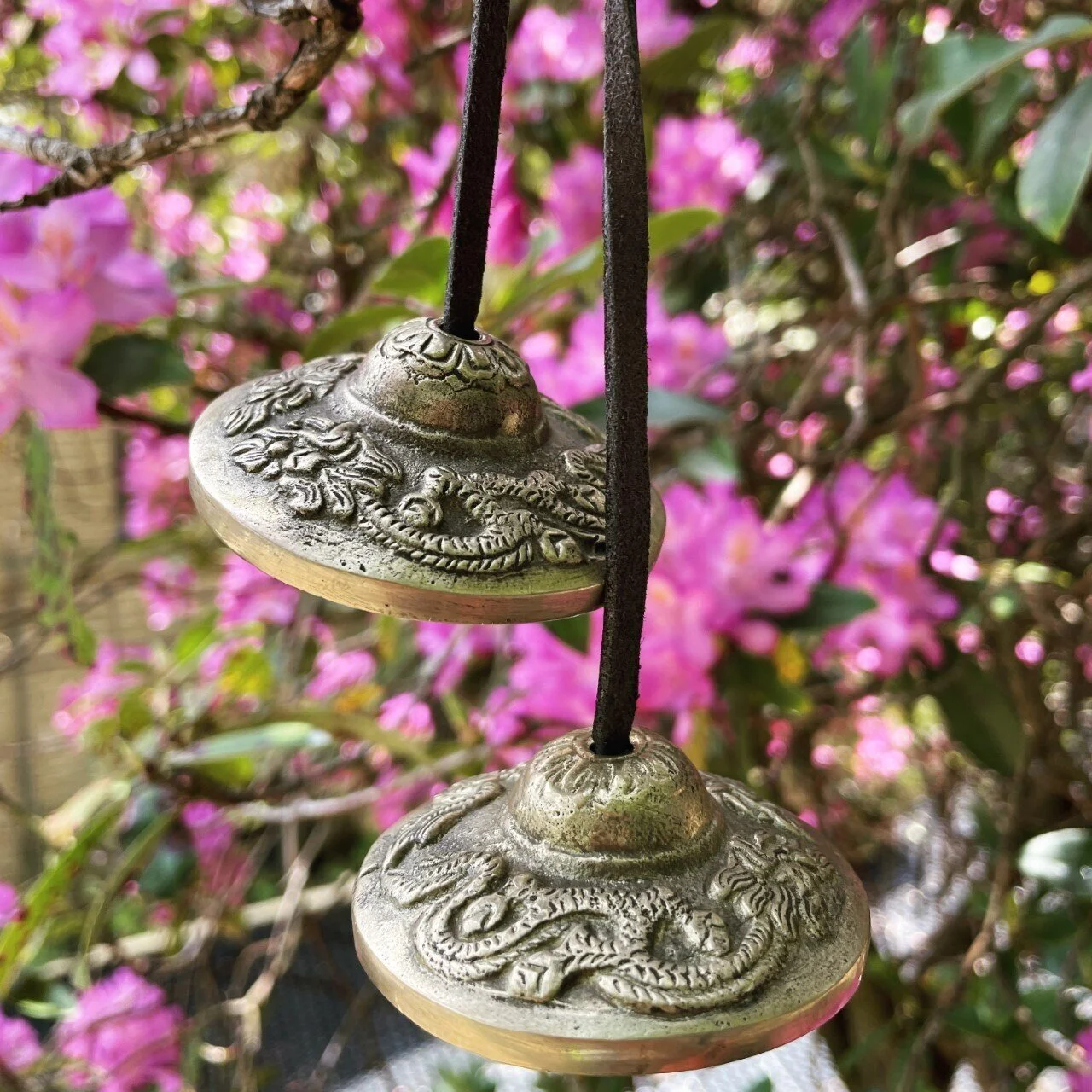 Sound Healing in The Space