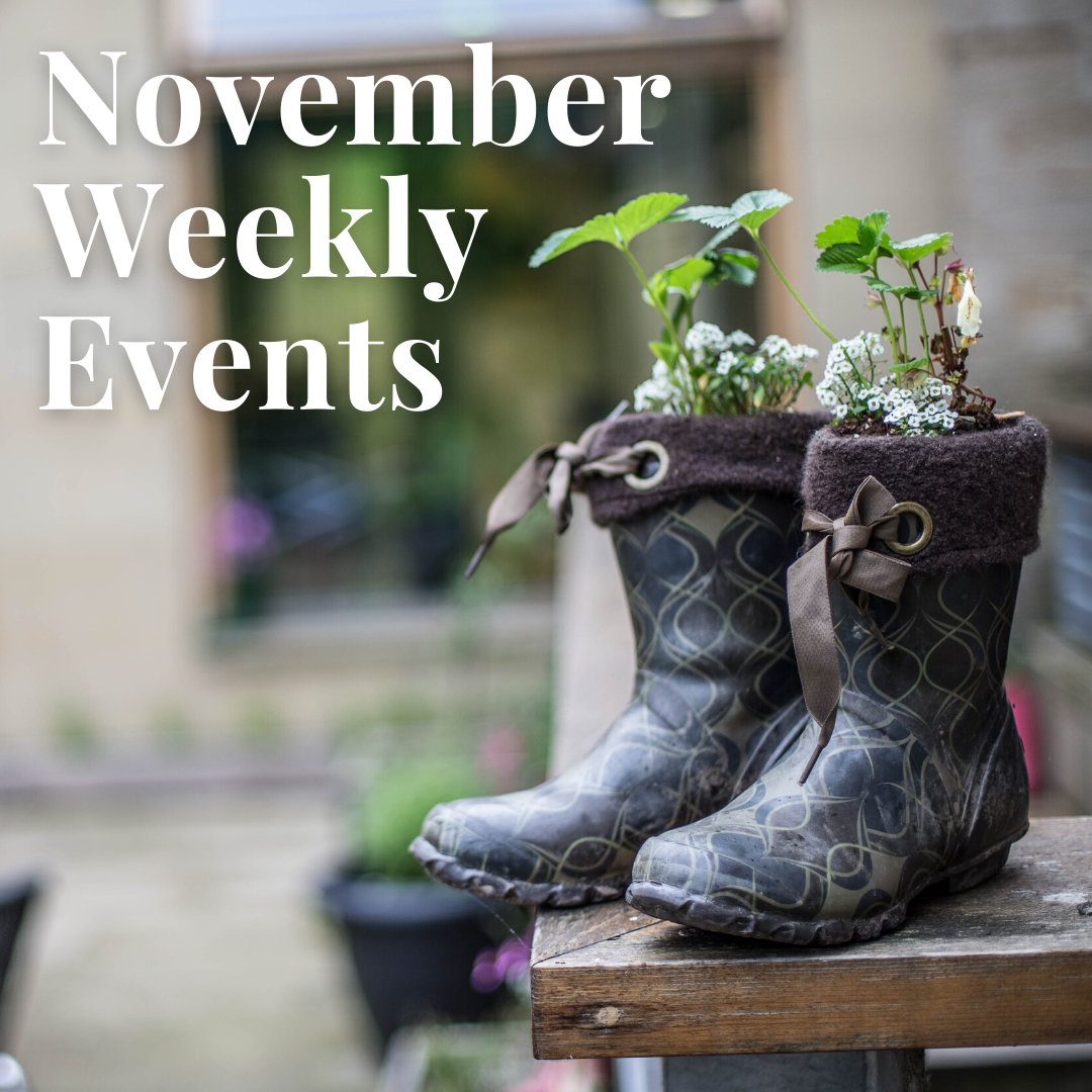 November weekly events
