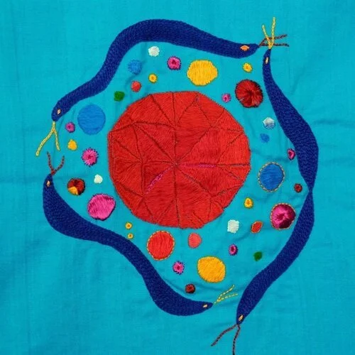 May exhibition - Hidden Worlds by Saima Kaur and Jo Butler