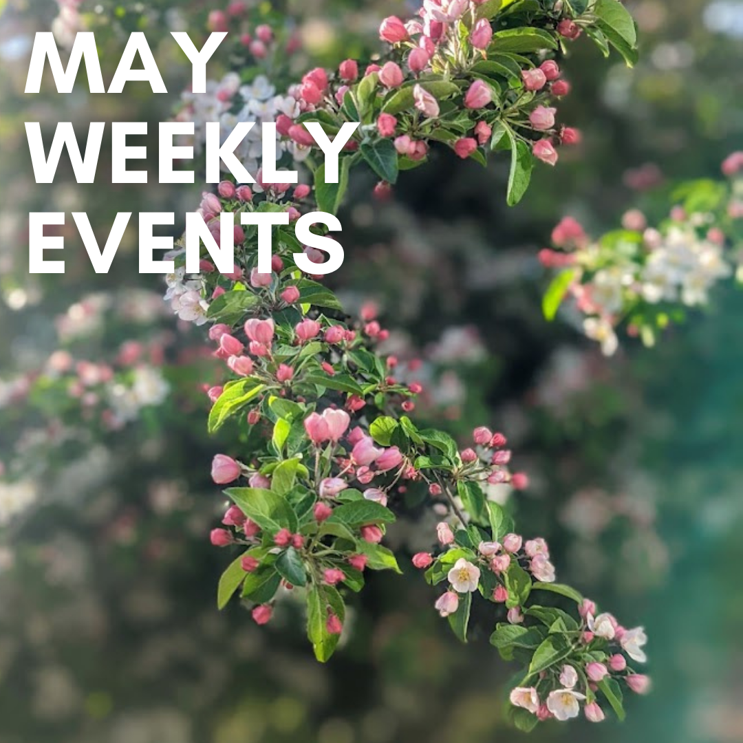 May weekly events