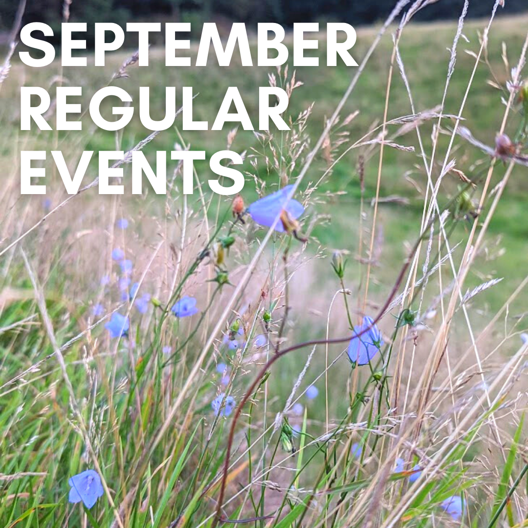 September regular events