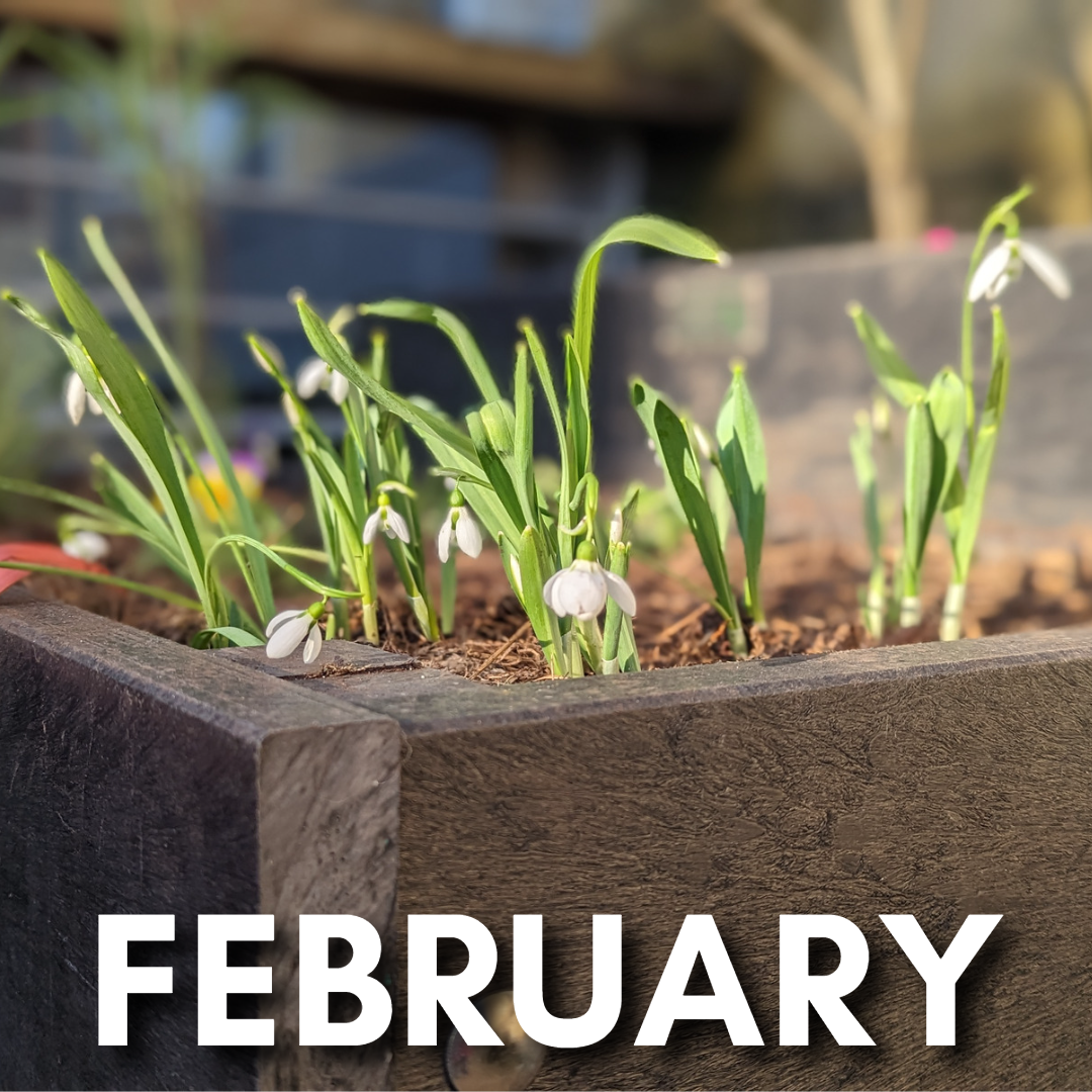 February Events at the Town Hall