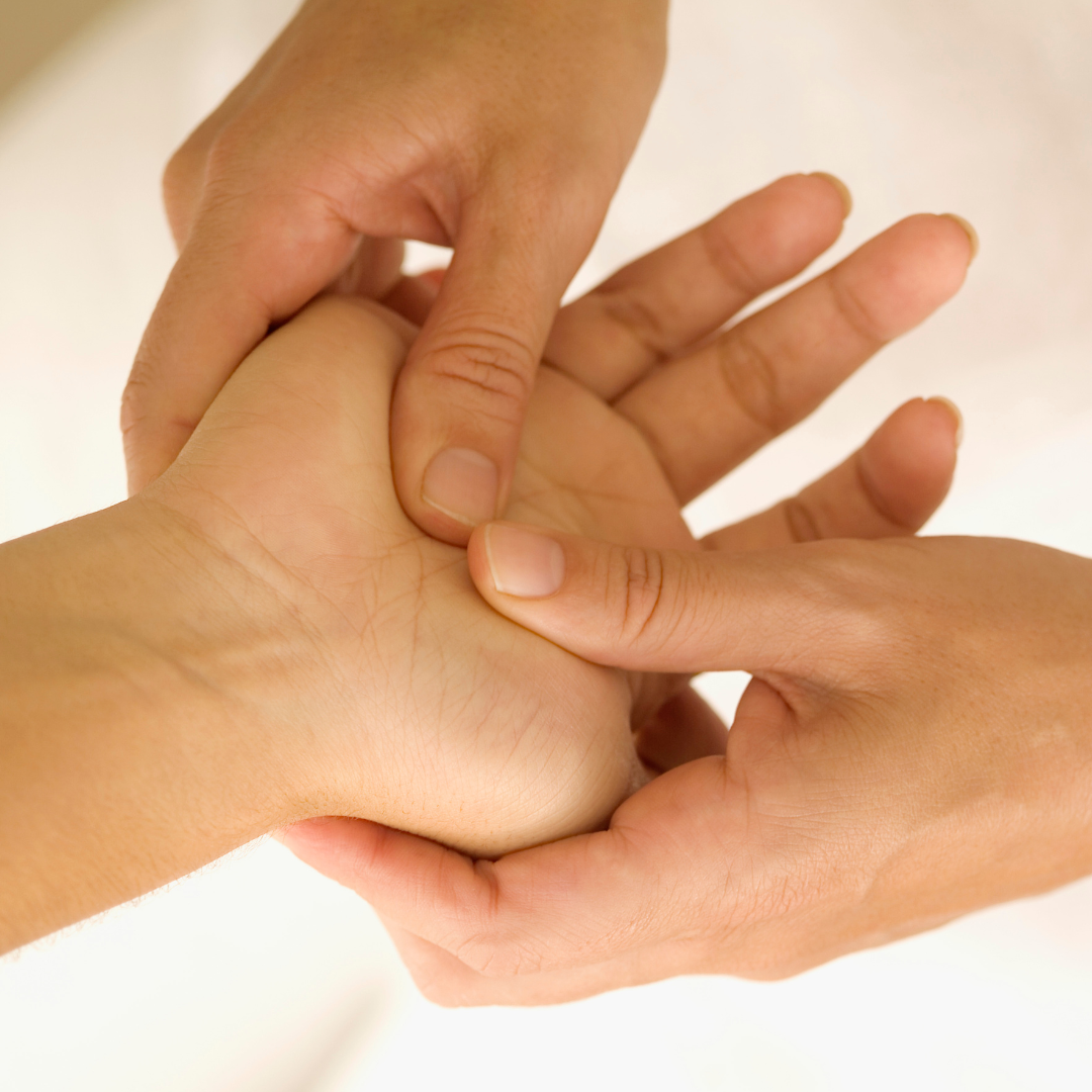 TRE and Shiatsu Workshop - The Space