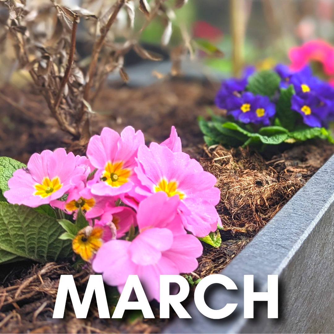 March Events at the Town Hall