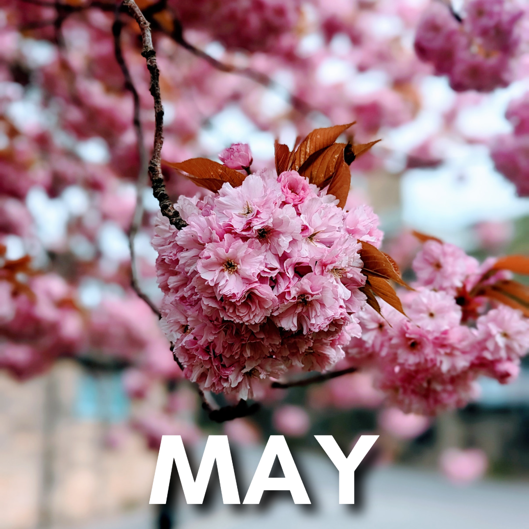 May Events at the Town Hall