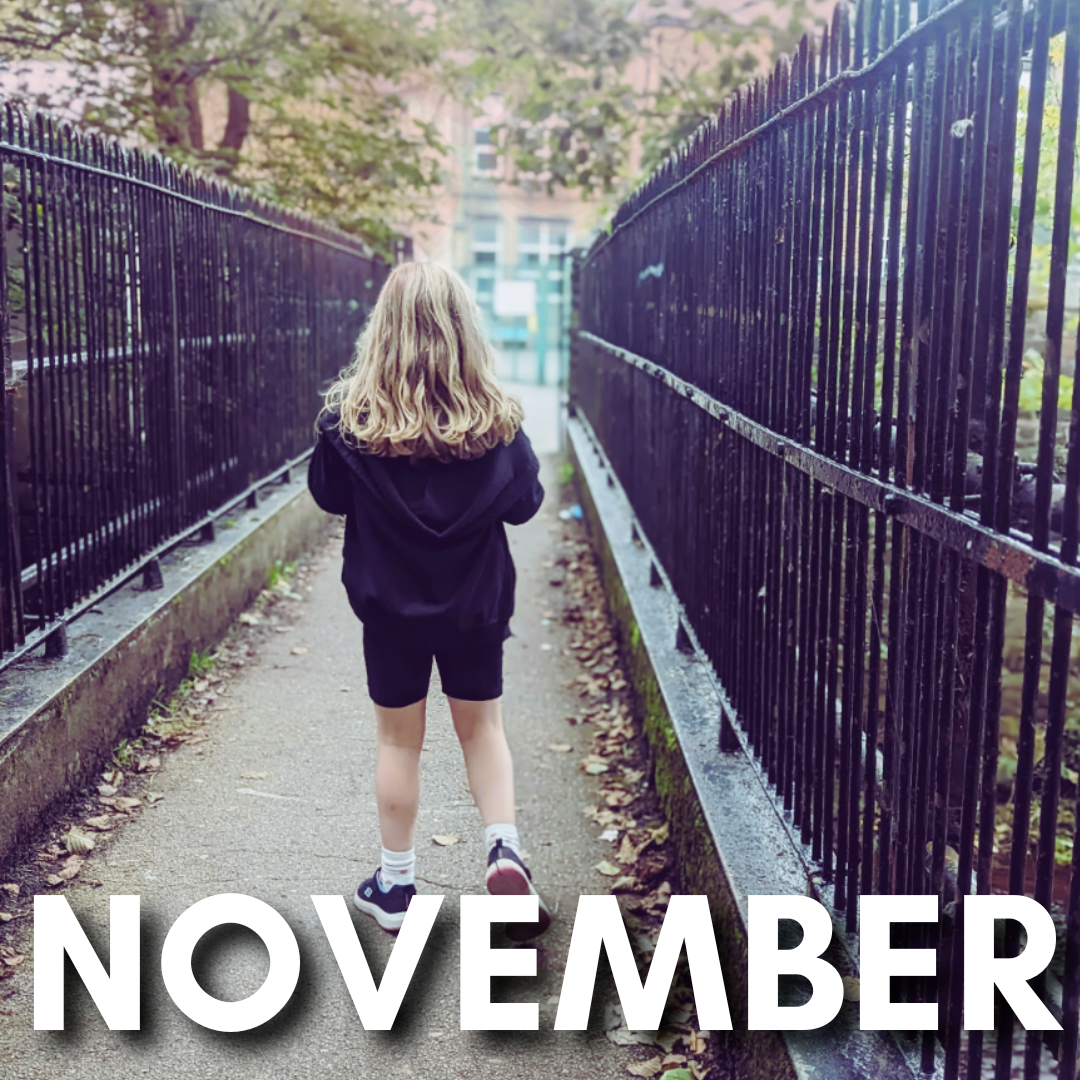 November Events at the Town Hall 