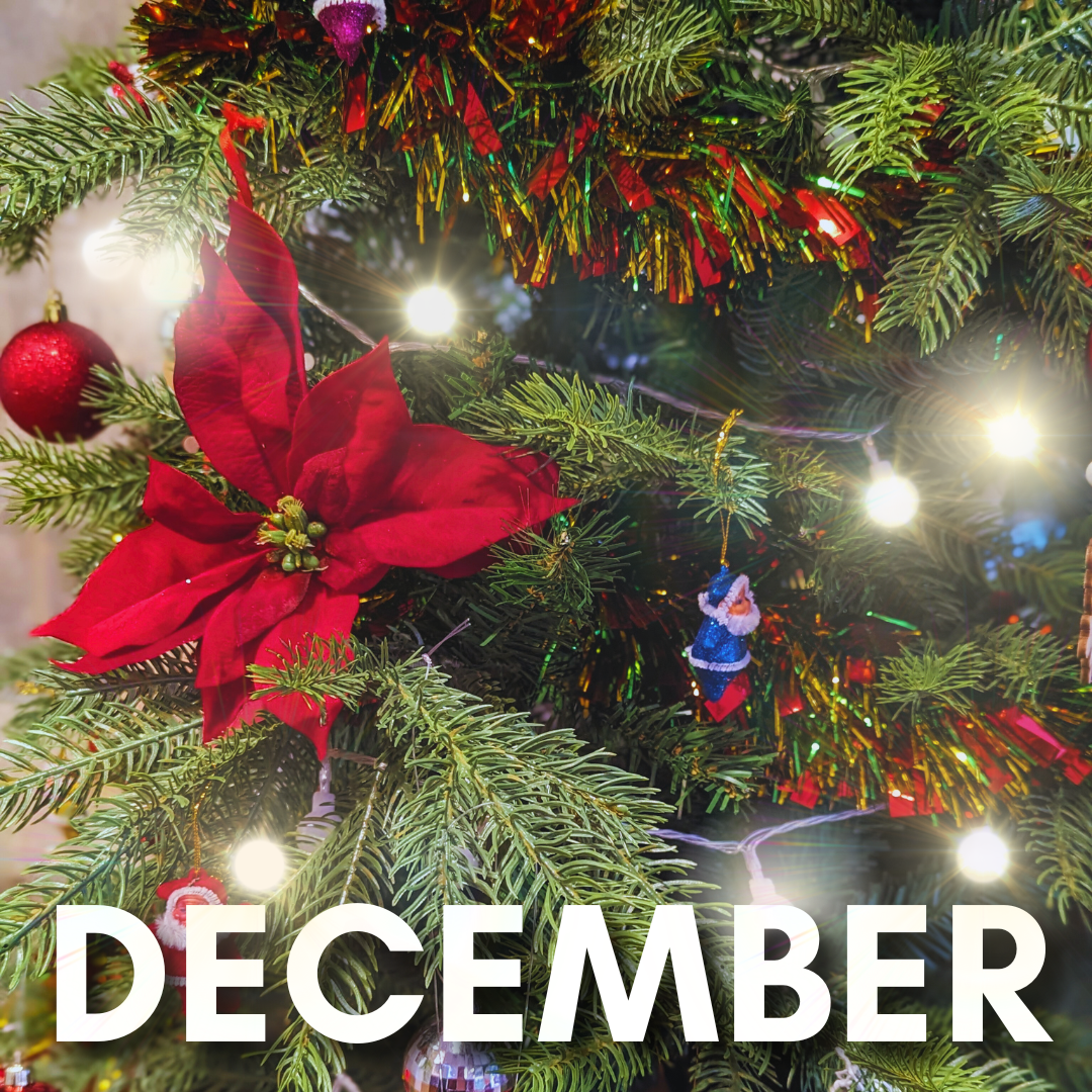 December Events at the Town Hall 