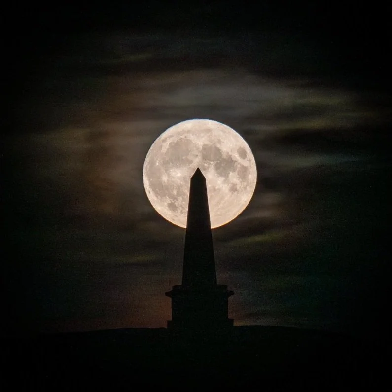 February Exhibition - Christopher Foster: Gatherings