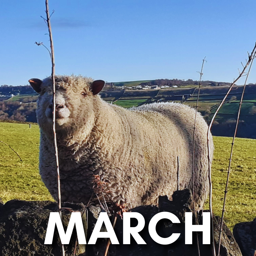 March 2024 Events at the Town Hall 