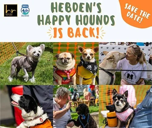 Hebden’s Happy Hounds - Calder Holmes Park 