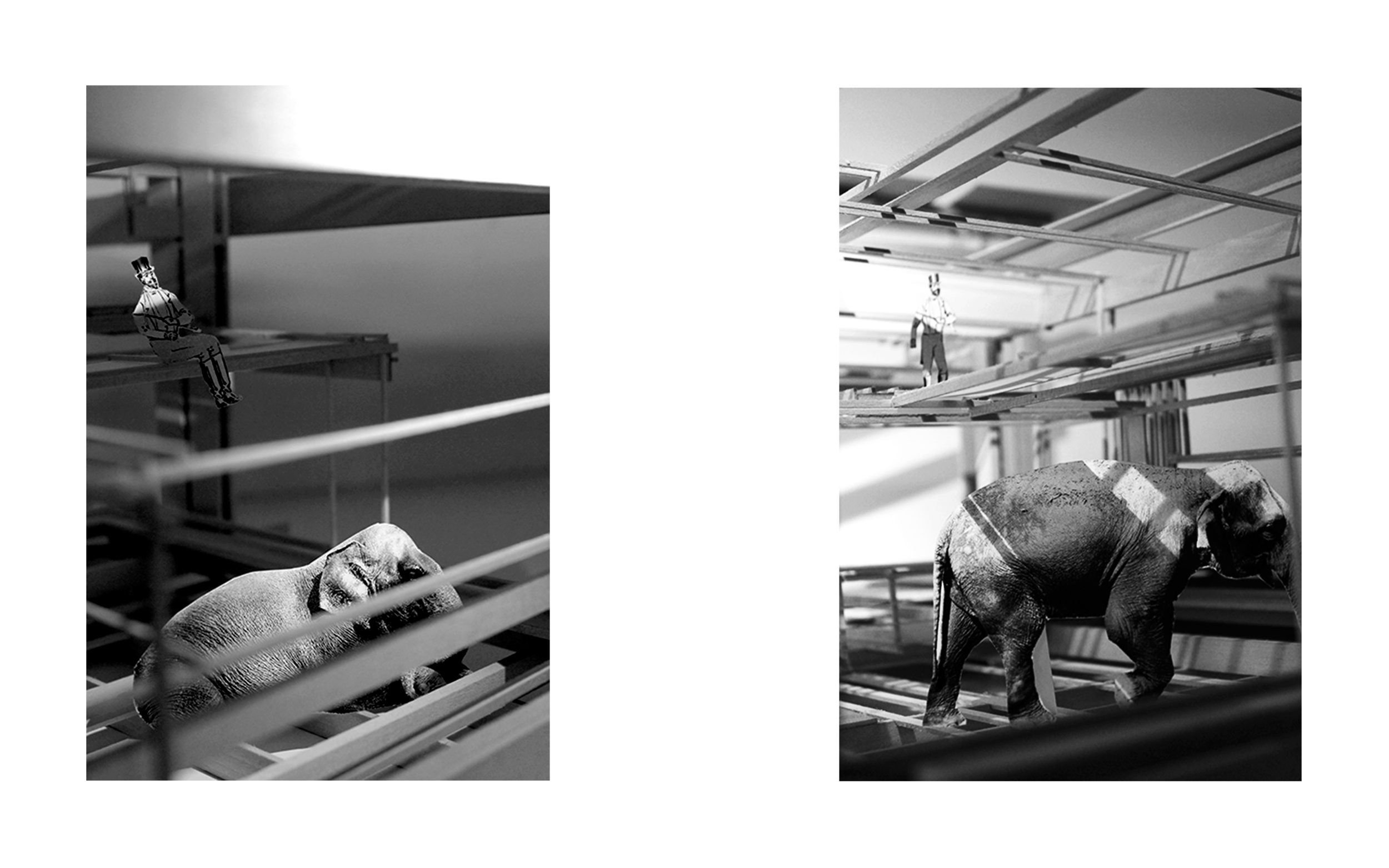 procession_1 + _2 (1/4”)