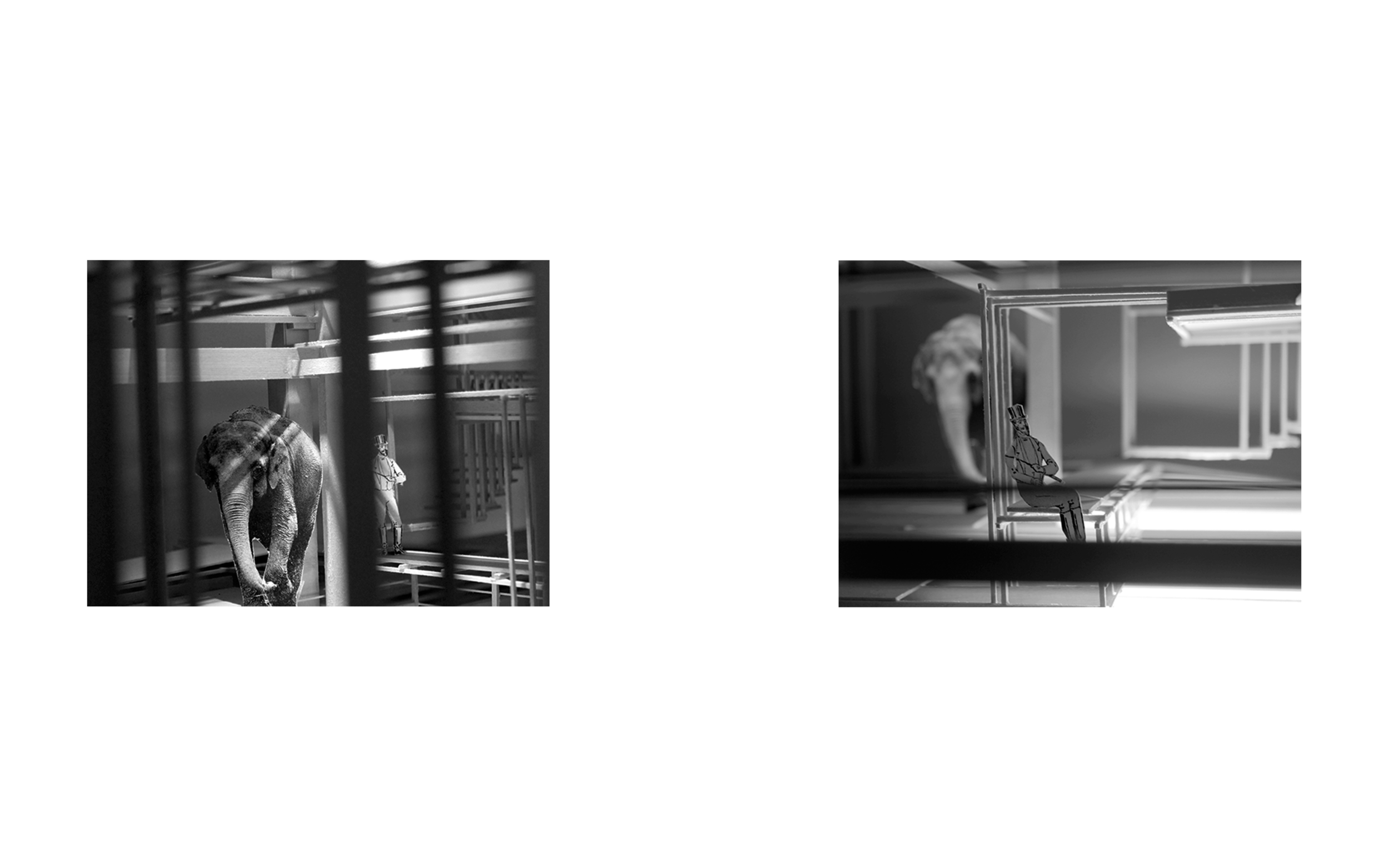procession_3 + _4 (1/4”)