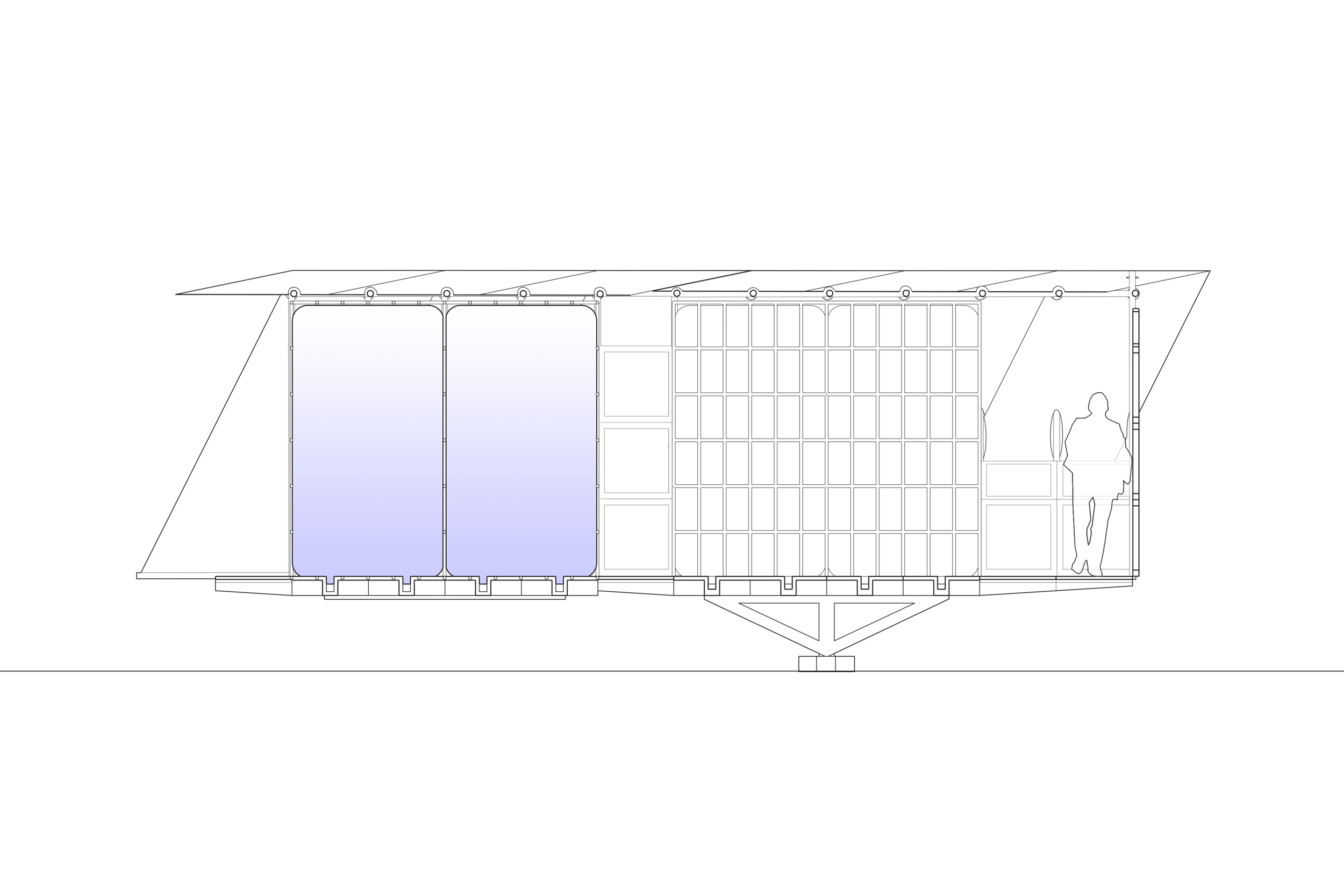 section_long