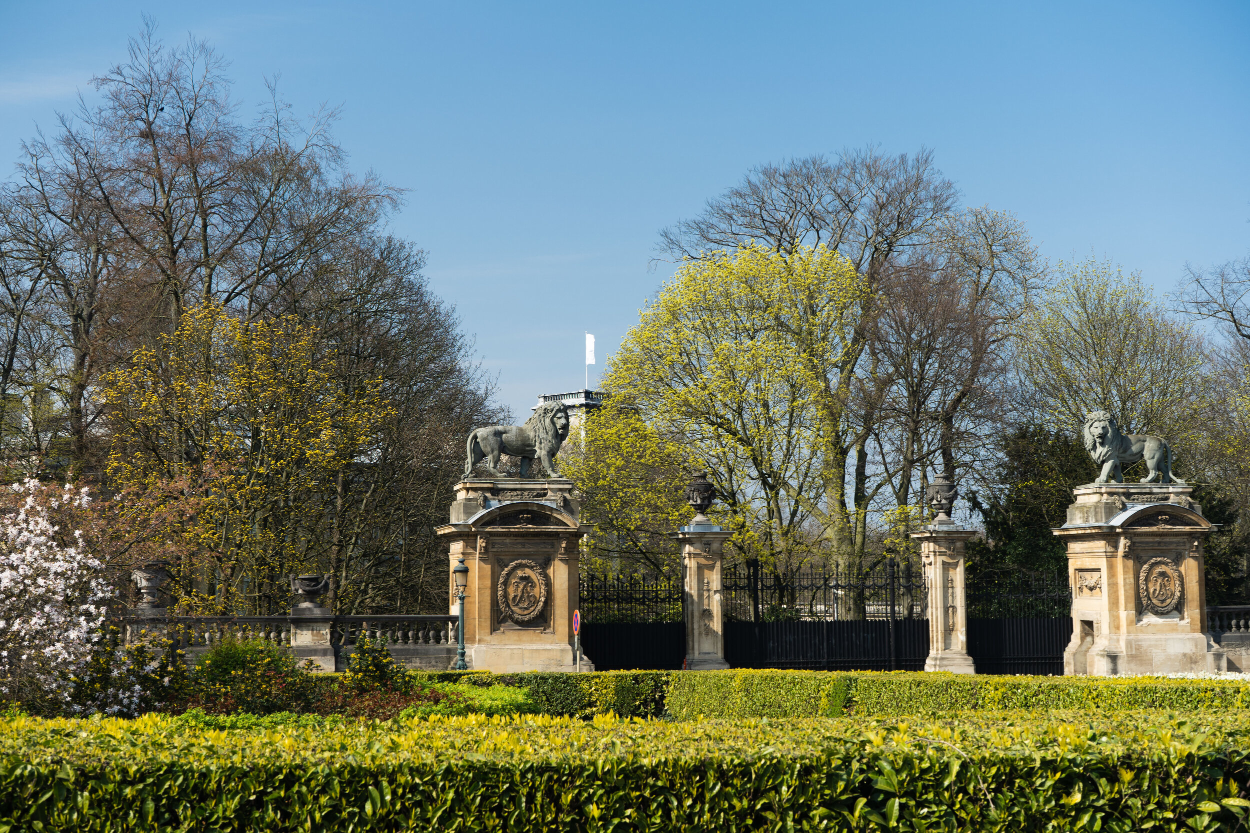 _DSC8883.jpg