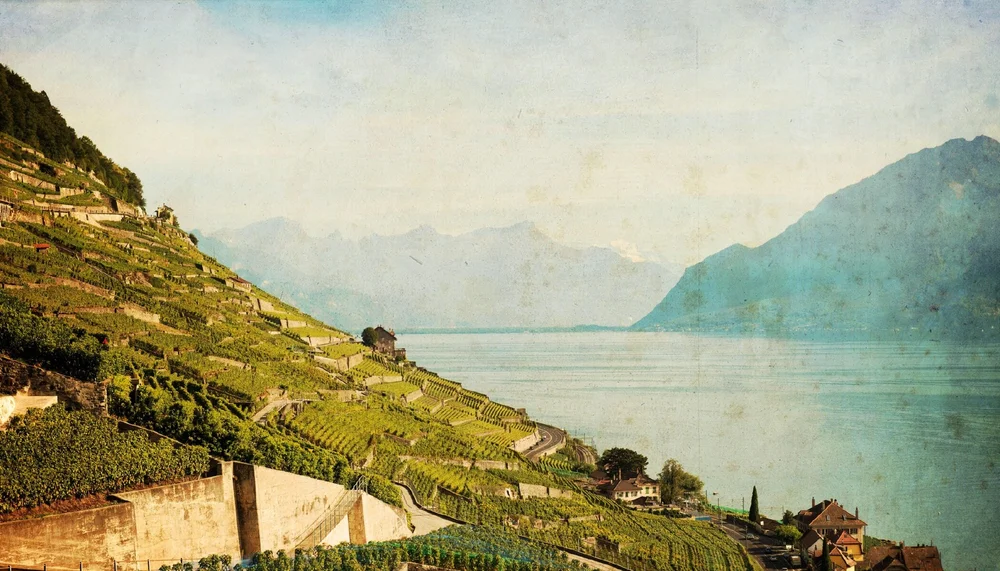 THE LAVAUX WINE BAR