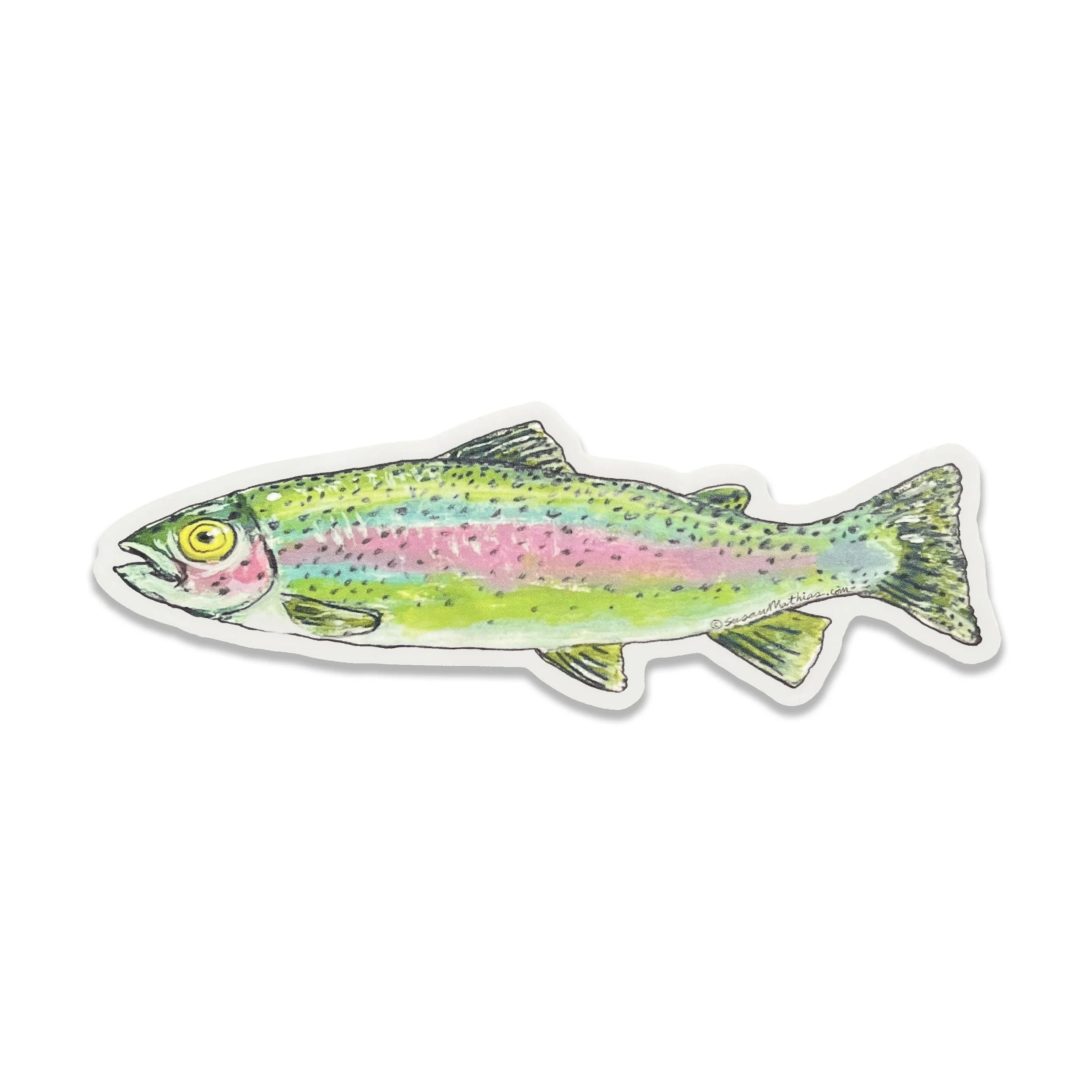 Rainbow Trout fish STICKER_photo Fixed_SQ Website 2024 copy.jpg