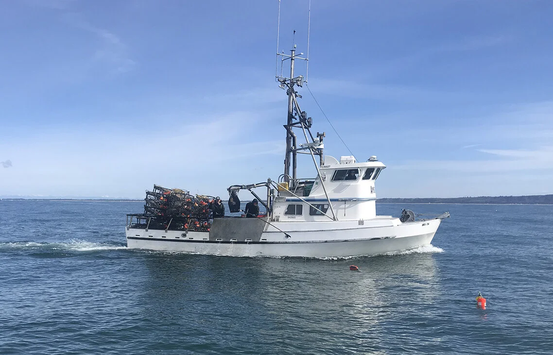 AmberLynn_Ourseafood.jpg